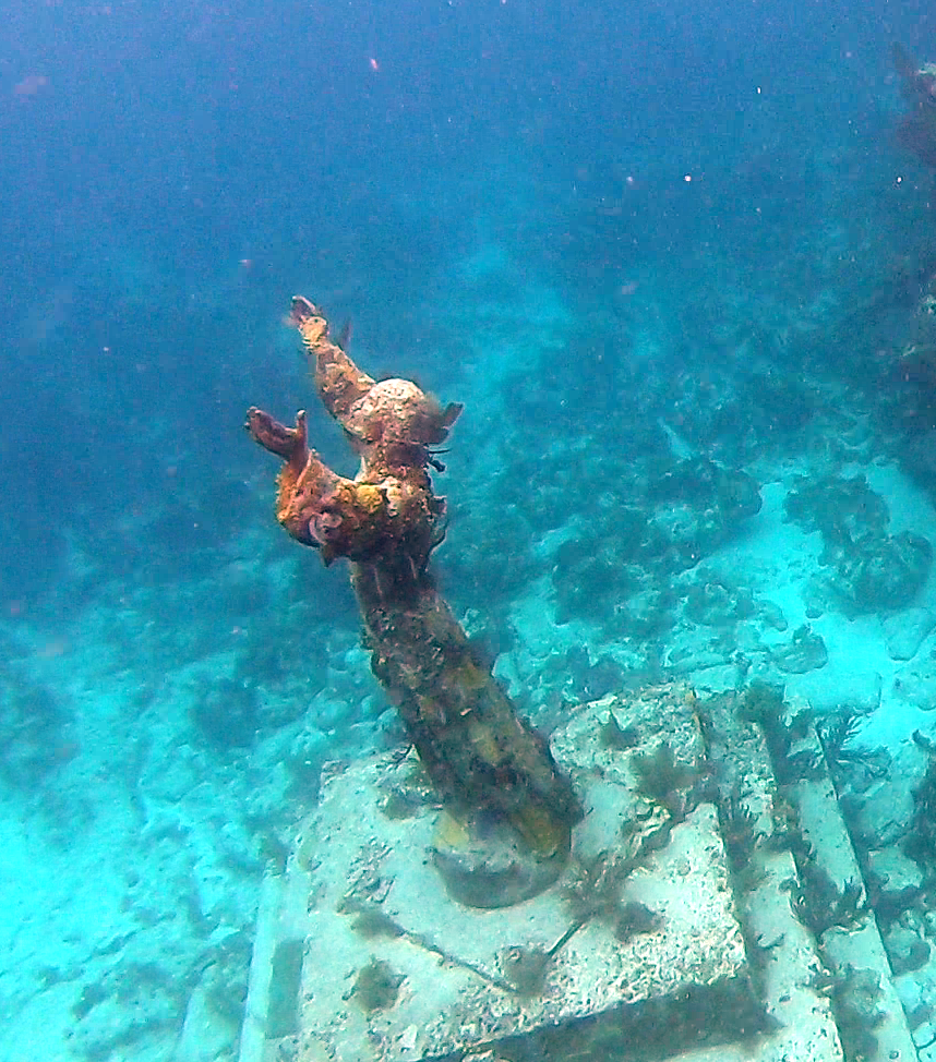 John Pennekamp Coral Reef State Park - Key Largo FL